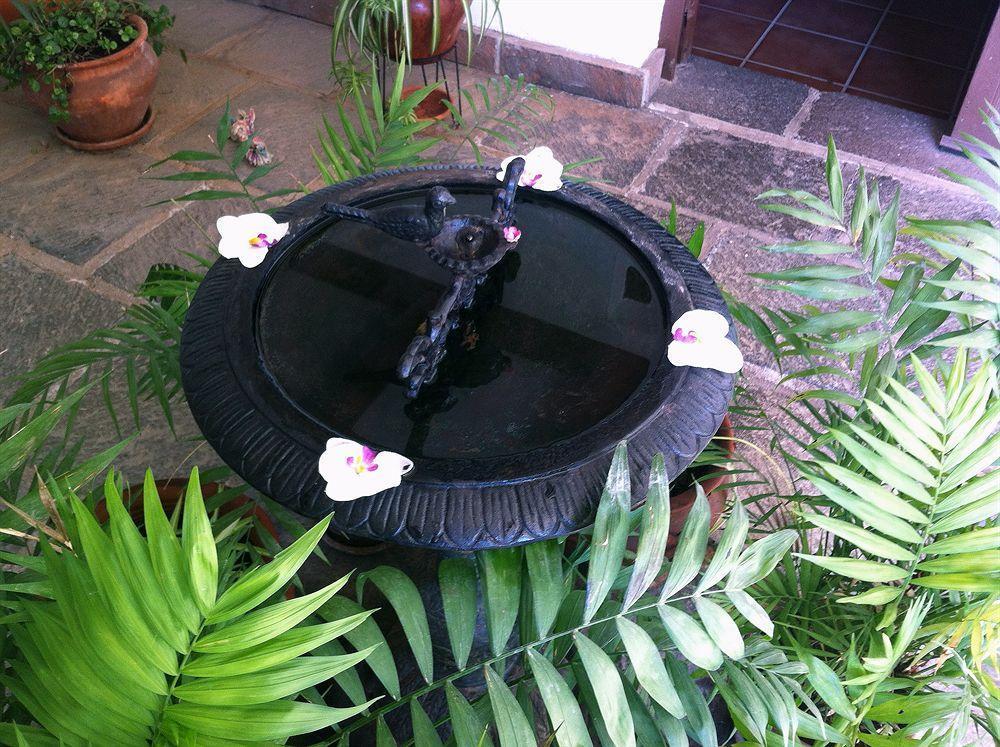 Eco Vista Bonita Appartamento *